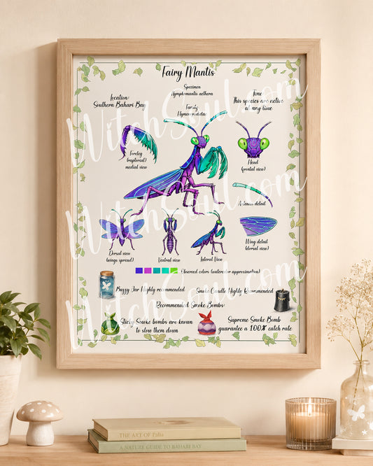 Palia Inspired Fairy Mantis Entomology Poster – Digital Download
